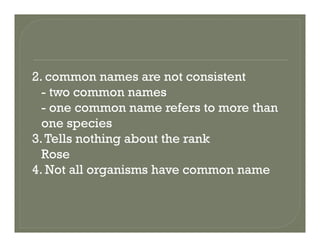 2 common names are not consistent2. common names are not consistent
- two common names
one common name refers to more than- one common name refers to more than
one species
3 Tells nothing about the rank3.Tells nothing about the rank
Rose
4 Not all organisms have common name4. Not all organisms have common name
 