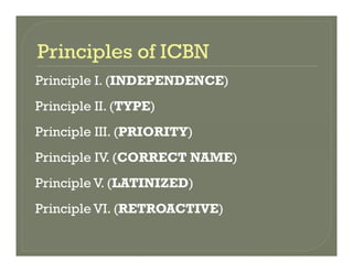 Principle I. (INDEPENDENCE)Principle I. (INDEPENDENCE)
Principle II. (TYPE)
Principle III. (PRIORITY)
P i i l IV (CORRECT NAME)Principle IV. (CORRECT NAME)
Principle V. (LATINIZED)c p e V ( N )
Principle VI. (RETROACTIVE)
 