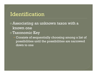 Associating an unknown taxon with aAssociating an unknown taxon with a
known one
Taxonomic KeyTaxonomic Key
• Consists of sequentially choosing among a list of
possibilities until the possibilities are narrowedpossibilities until the possibilities are narrowed
down to one
 