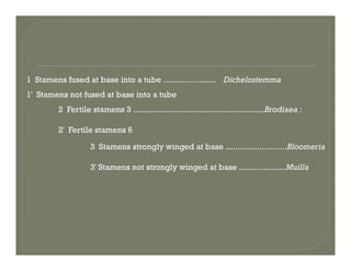 1 Stamens fused at base into a tube ........……....... Dichelostemma
1' Stamens not fused at base into a tube
2 Fertile stamens 3 ......................................................Brodiaea :
2' Fertile stamens 6
3 Stamens strongly winged at base ...............….......Bloomeria
3' Stamens not strongly winged at base .......….........Muilla
 