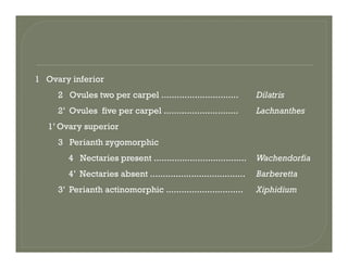 1 Ovary inferiory
2 Ovules two per carpel .............................. Dilatris
2’ Ovules five per carpel ............................. Lachnanthes
1’ Ovary superior
3 Perianth zygomorphic
4 Nectaries present .................................... Wachendorfia
4’ Nectaries absent ..................................... Barberetta
3’ Perianth actinomorphic .............................. Xiphidium
 