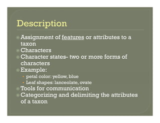 Assignment of features or attributes to aAssignment of features or attributes to a
taxon
Characters
Character states- two or more forms of
characters
Example:Example:
• petal color: yellow, blue
• Leaf shapes: lanceolate, ovatep
Tools for communication
Categorizing and delimiting the attributes
f tof a taxon
 