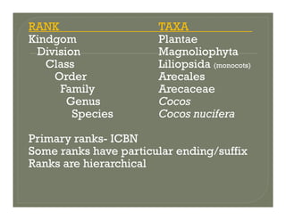 RANK TAXA___________
Kindgom PlantaeKindgom Plantae
Division Magnoliophyta
Class Liliopsida (monocots)p ( )
Order Arecales
Family Arecaceae
Genus Cocos
Species Cocos nucifera
Primary ranks- ICBN
Some ranks have particular ending/suffixSome ranks have particular ending/suffix
Ranks are hierarchical
 