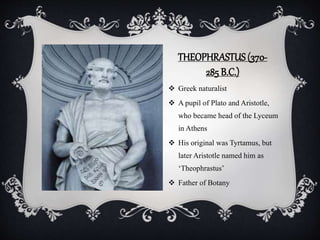 THEOPHRASTUS (370-
285 B.C.)
 Greek naturalist
 A pupil of Plato and Aristotle,
who became head of the Lyceum
in Athens
 His original was Tyrtamus, but
later Aristotle named him as
‘Theophrastus’
 Father of Botany
 