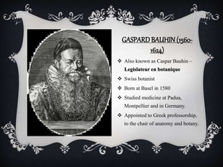 GASPARDBAUHIN (1560-
1624)
 Also known as Caspar Bauhin –
Legislateur en botanique
 Swiss botanist
 Born at Basel in 1580
 Studied medicine at Padua,
Montpellier and in Germany.
 Appointed to Greek professorship,
to the chair of anatomy and botany.
 
