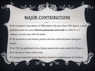 MAJOR CONTRIBUTIONS
 He compiled a description of 5000 plants with more than 3500 figures, a work
published under the name Historia plantarum universalis in 1650-51 in 3
volumes, several years after his death.
 He nurtured several botanic gardens and also collected plants during his
travels.
 In 1591, he published a list of plants named after saints called De Plantis a
Divis Sanctisve Nomen Habentibus.
 Linnaeus named the genus Bauhinia (family Caesalpiniaceae) for brothers.
 