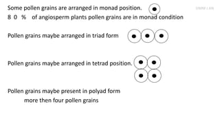 Some pollen grains are arranged in monad position.
8 0 % of angiosperm plants pollen grains are in monad condition
Pollen grains maybe arranged in triad form
Pollen grains maybe arranged in tetrad position.
Pollen grains maybe present in polyad form
more then four pollen grains
SIMM J AN
 