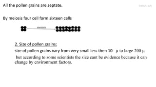 All the pollen grains are septate.
By meiosis four cell form sixteen cells
2. Size of pollen grains:
size of pollen grains vary from very small less then 10 µ to large 200 µ
but according to some scientists the size cant be evidence because it can
change by environment factors.
meiosis
SIMM J AN
 