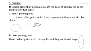 3. Polarity:
the poles present on pollen grains. On the basis of polarity the pollen
grains are of two types
a. apolar pollen grains
those pollen grains which have no poles and thes are in circular
shape.
b. poler pollen grains
those pollen grains which have poles and they are in oval shape.
SIMM J AN
 