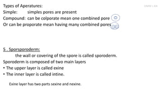 Types of Aperatures:
Simple: simples pores are present
Compound: can be colporate mean one combined pore
Or can be proporate mean having many combined pores
5 . Sporsporoderm:
the wall or covering of the spore is called sporoderm.
Sporoderm is composed of two main layers
• The upper layer is called exine
• The inner layer is called intine.
Exine layer has two parts sexine and nexine.
SIMM J AN
 