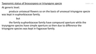 Taxonomic status of brassospora or trisyngyne specie
At generic level.
produce unisexual flowers so on the basis of unsexual trisyngyne specie
was kept in euphorbiaceae family.
but
the family euphorbiaceae family have compound aperture while the
trysyngyne species have simple aperture so then due to difference the
trisyngyne species was kept in Fagaceae family.
SIMM J AN
 