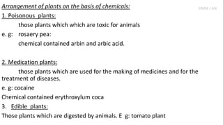 Arrangement of plants on the basis of chemicals:
1. Poisonous plants:
those plants which which are toxic for animals
e. g: rosaery pea:
chemical contained arbin and arbic acid.
2. Medication plants:
those plants which are used for the making of medicines and for the
treatment of diseases.
e. g: cocaine
Chemical contained erythroxylum coca
3. Edible plants:
Those plants which are digested by animals. E g: tomato plant
SIMM J AN
 