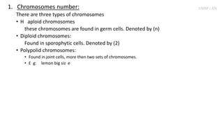 1. Chromosomes number:
There are three types of chromosomes
• H aploid chromosomes
these chromosomes are found in germ cells. Denoted by (n)
• Diploid chromosomes:
Found in sporophytic cells. Denoted by (2)
• Polypolid chromosomes:
• Found in joint cells, more then two sets of chromosomes.
• E g: lemon big siz e
SIMM J AN
 