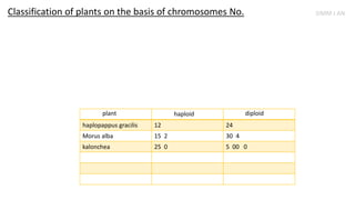 Classification of plants on the basis of chromosomes No.
haplopappus gracilis 12 24
Morus alba 15 2 30 4
kalonchea 25 0 5 00 0
plant haploid diploid
SIMM J AN
 