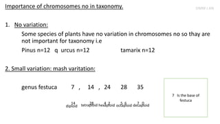 Importance of chromosomes no in taxonomy.
1. No variation:
Some species of plants have no variation in chromosomes no so thay are
not important for taxonomy i.e
Pinus n=12 q urcus n=12 tamarix n=12
2. Small variation: mash varitation:
genus festuca 7 , 14 , 24 28 35
14 28 4 2 5 6 7 0
diploid tetraploid hexaploid octaploid decaploid
7 Is the base of
festuca
SIMM J AN
 