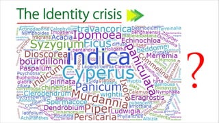 The Identity crisis
?
 