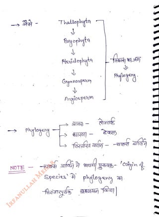 NOTE
<br>
Thaliophyta
<br>
Pexdophyta
<br>
Gymnospem
<br>
Angiopezm
<br>
Species' phylogey )
<br>
 