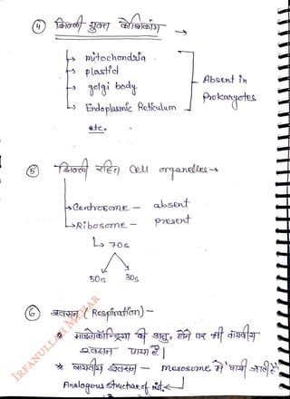mitochendasa
<br>
t plastfd
<br>
3olgi boady
<br>
Endo plasníc Reticulu
<br>
etco
<br>
LsRbssone
<br>
50s
<br>
30s
<br>
AAA (Respíratfon)
<br>
abset
<br>
Present
<br>
Absent in
<br>
mesoseme
<br>
 