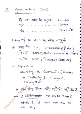 Cyano bacteig
<br>
Coll a
<br>
* Pigmants
<br>
(aGA)
<br>
photesynthetic
<br>
plaxtae
<br>
Psotista
<br>
1l )
<br>
Menea
<br>
ahloreplu- A, Carotenoids ( Casctene
<br>
+
Xounthephy) Ficocgann,
<br>
Hico eny
thin
<br>
BGA
<br>
 