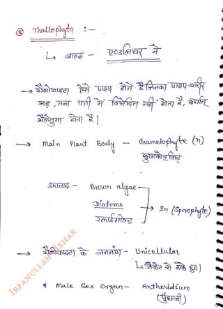 main
<br>
Plant Body
<br>
Brwn
<br>
Diatems
<br>
Male Sex
<br>
Ghamctofhyte ()
<br>
algae
<br>
Antheridium
<br>
(jert)
<br>
 