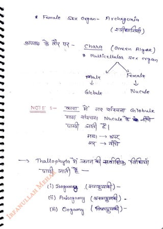 * Female Sex
<br>
NOTE -
<br>
R
<br>
Organ- rchgon'a
<br>
(enfni )
<br>
Chas
<br>
( Gneen Algae)
<br>
Multieeculas Sex
<br>
Globule
<br>
Nucule
<br>
TR ÍZ Globule
<br>
ti) Avisogamy (3g)
<br>
hi) Oogamy (hgg)
<br>
 