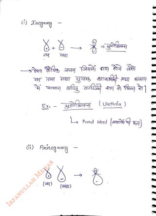 Ex•
<br>
HR
<br>
(R)
<br>
gosy (Ulethóx )
<br>
i1) Anúsogamy
<br>
(HI)
<br>
LPend Wool
<br>
 
