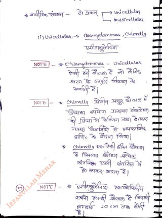 Unícellalas
<br>
L
ufcellulas
<br>
Li) Uricellulas CHamydomonas Chlorellg
<br>
NOTE *Chamydomenas Snicelulas
<br>
NO1E
<br>
 