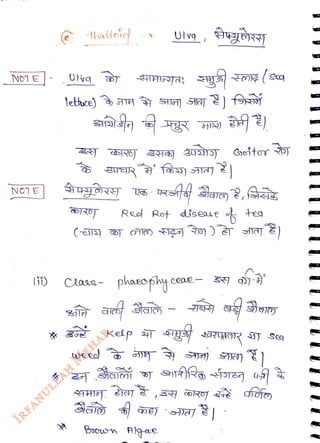 NO1 E
<br>
NOTE
<br>
(i)
<br>
-llallei Ulvg
<br>
lettuce)
<br>
Red Rot dsese
<br>
Class- phazophyecae
<br>
weeo
<br>
kelp T
<br>
Bsoun Alae
<br>
teg
<br>
 