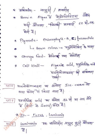 NOTE
<br>
Bew n
<br>
NOTE
<br>
Pigmerts- Chlerephyl A,c;ucoxauthín
<br>
g
<br>
Cebl esall
<br>
Bscwn colerwr
<br>
NOT E
et aci as 34)0 g2
<br>
Laminaig
<br>
bsG)O)6)ZSY
<br>
Ex, Fucus Laminarig
<br>
 