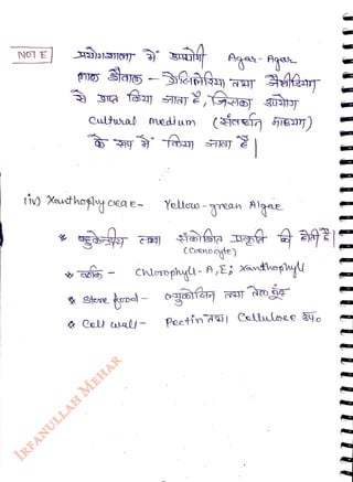 NOT E
<br>
Cultual medium
(e Hiem)
<br>
i) Xauthoftceae- Yelous
<br>
-grean Hlgae
<br>
(Ceendyte)
<br>
Chloroplug- A,E; Xanthophl
<br>
Pectin d Coluloee 390
<br>
 