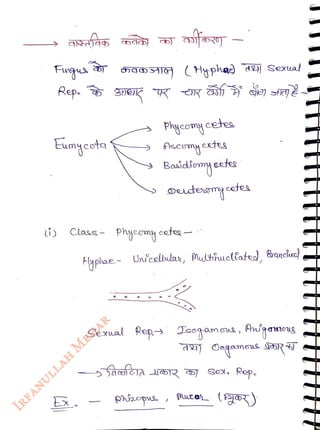 Fugus
<br>
Rep
<br>
Eumycota
<br>
ÔaH>A (Hyphae ) Sexual
<br>
Hyplae
<br>
Phycomy cetea
<br>
scomy cetes
<br>
Bosidirm eetes
<br>
Dutomyetes
<br>
Class- Phycomy ceta
<br>
Un'cellulas, Maltiuelfate Banche
<br>
Sexual Rep Jaetamu, fAtamg
<br>
Oogamas SSR
<br>
 