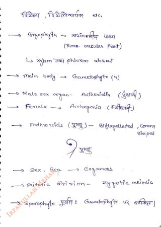 faG,fa@sr)
<br>
Bryephyta
<br>
Xylem ) phleem abet
<br>
main body
<br>
|Nene- vaLculah Plaut)
<br>
Male sox a
<br>
Aemal
<br>
Rep
<br>
Gametophyte()
<br>
Athodf (že )
<br>
Archegonia (jen
<br>
Andhro hde (gg)~ Btapcllated Commg
<br>
m
<br>
shapad
<br>
meiosis
<br>
Sposcphyte Joi : Ganeto pyte R
efr)
<br>
 