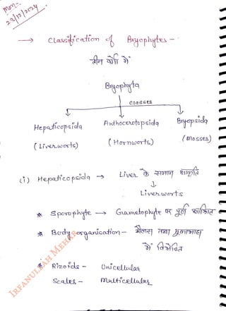 Clasfieatiom Byophytes -
<br>
Hepatccpsida
<br>
(Livewerts)
<br>
G) Hepatieo psid
<br>
* Sporophyte
<br>
Rizorde-
<br>
Scales
<br>
Bnyeyta
<br>
Ahocertopsid
<br>
( Hornworts)
<br>
Live
<br>
Bnyepside
<br>
Onicellulas
<br>
Mutieelules
<br>
(mosses)
<br>
Lineuwerts
<br>
 