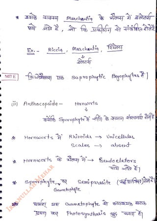 NGT E
<br>
Marchanti
<br>
Ex.- Ricci
,
Marchantiq
<br>
Saprephyttc Byotes |
<br>
i) Ancthacopsid- Hlornwots
<br>
Sporoplyte
<br>
Hernserts Rhizejde Unicelllas
<br>
* Sporephyte,,R
<br>
Sealee
<br>
Hosnwots 4
sendo eletors
<br>
absent
<br>
Gemi pavasite (fs)9
<br>
Gantopte
<br>
photeseythais
<br>
 