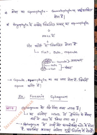 NOT E
<br>
sporephyte - Gametophyte aifs1sa
<br>
Spore q
<br>
Ex
<br>
Fun auq
<br>
&phagnun
<br>
moss
<br>
Foot, Seta, capsue
<br>
Seto
<br>
Foot
<br>
Capsule STo1
<br>
Sphanum
<br>
 