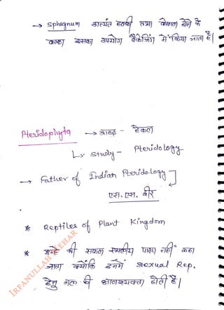 sphanu m
<br>
Pteidepluyts
<br>
Ptendo
leT
<br>
Father e Dhdien feido logA
<br>
. .
<br>
Reptiles o Plant kingdom
<br>
 