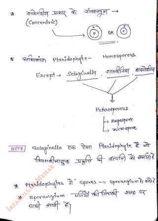 (Concerdvic)
<br>
afersiz pteidoplte
<br>
Except- Selaylnelky
<br>
NOTE Qclagnella
<br>
g
<br>
OR
<br>
Hemosporous
<br>
Hetecspoxoue
<br>
icspoe
<br>
Pttdepyte
<br>
sperangfum
<br>
Ptesdostes
spores -
<br>
Sporanyium uafet
<br>
 