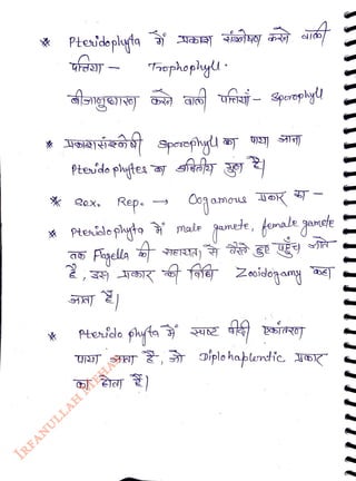 Rep.
<br>
Tophopluy:
<br>
Fgela
<br>
* Ptenidlepytoale gmete, female ganete
<br>
Pterfdo phta
<br>
Sporophyl
<br>
HETN)
<br>
U24T SN, Diplo hablemtic JOK
<br>
 