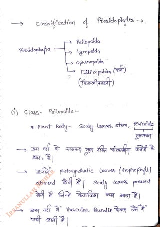 Classifoatiorn Pesdopilytes -
<br>
pleidophta
<br>
feilopsida
<br>
ycopetda
<br>
sphenepejd
<br>
b
Flepsida ()
<br>
Class- Psilopsida
<br>
Plant Body- Scaly leaves, stem, Ricide
<br>
3 qST
<br>
z pheto ydhatic taave (thuphefk)
<br>
absert r
ra 2| Scaly teaug preaont
<br>
 