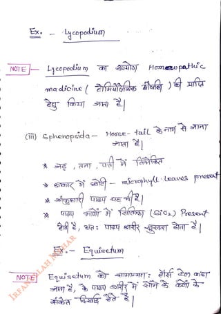 NGTE Lycopoiu m
<br>
Lycopodum
<br>
NOTE
<br>
g
<br>
30
<br>
ma icine ( ioe )a f
<br>
(i) Gphenopsida - Horce- tall
ATH
<br>
Homaw pat
<br>
Eqaiscu
<br>
Equisetm
<br>
 