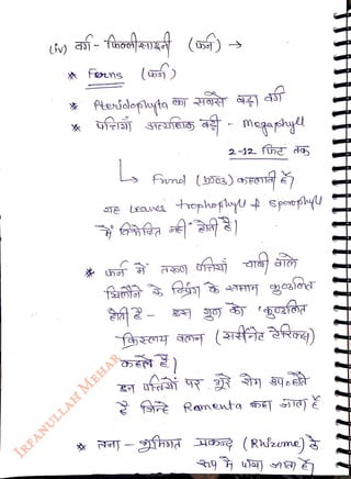 (iv)
<br>
fons
<br>
(as5)
<br>
Ptenddopta
<br>
L
<br>
Leaunea topheply sporolyU
<br>
bE )
<br>
 