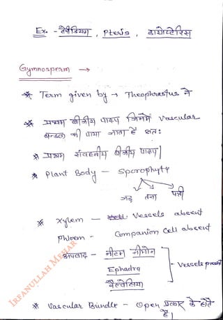 Ex. -
<br>
ymnospe)
<br>
pts
<br>
* Tenm given b
<br>
Phloem
<br>
Theoghasfus
<br>
- Sporophytr
<br>
Qmpann Cel abcent
<br>
Ephadrg
<br>
Vessela ps
<br>
 