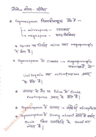 Gaymnospean fasátgs
<br>
mcreepne
<br>
megpene
<br>
Spores uevo daT megasporangig
<br>
Smnospeum Owee
<br>
Uni teqmie orthrotop
<br>
Giymno spom
<br>
Gymnospem
<br>
Ovule
<br>
megaaperangfy
<br>
RoT
<br>
Cvay absed ata' rfg
<br>
Seed
<br>
 