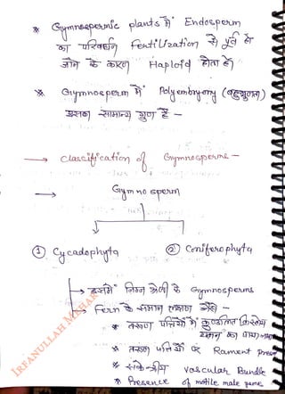 Synreapenfc glants Endospeum
<br>
ufzaea fet'eator
<br>
Fetization
<br>
Ciymnosperm
<br>
Clascitfeation
<br>
ycadaphyta
<br>
Haplofd
<br>
Gymnaspene
<br>
m
no spe
<br>
0
<br>
nitophytg
<br>
uR
<br>
oesenee
<br>
Rament pres
<br>
Vosculas Bundle
<br>
6h msti le mabe qane
<br>
 