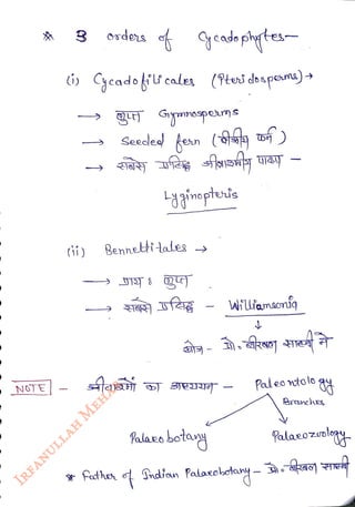 NGTE
<br>
evdes Yeadaphtes
<br>
r
<br>
i ycado ucales (Pesdospon)
<br>
8ginogteds
<br>
Bennetti lales
<br>
falaeo
bota
<br>
Wilamscni
<br>
Paleontolo
<br>
* father Snd'an Palaeobcty
<br>
Brnches
<br>
falaeozol
<br>
 