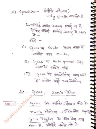 tii) ycadaes - Gitfa fass)
<br>
Livhg tocsils sFo
<br>
NOT E
<br>
S -
<br>
cii) yeas made qamet a
<br>
(ii)
<br>
Cyaas
<br>
Ovule,
<br>
Ex. yeas, Za uT
<br>
cas
<br>
Zenio fufo
<br>
ge
<br>
N-t
<br>
 