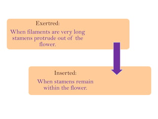 Exertred:
When filaments are very long
stamens protrude out of the
flower.
Inserted:
When stamens remain
within the flower.
 