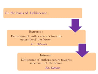 On the basis of Dehiscence :
Extrorse :
Dehiscence of anthers occurs towards
outerside of the flower.
Ex. Hibiscus.
Introrse :
Dehiscence of anthers occurs towards
inner side of the flower.
Ex. Datura.
 