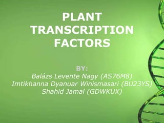 PLANT
TRANSCRIPTION
FACTORS
BY:
Balázs Levente Nagy (AS76M8)
Imtikhanna Dyanuar Winismasari (BU23YS)
Shahid Jamal (GDWKUX)
 