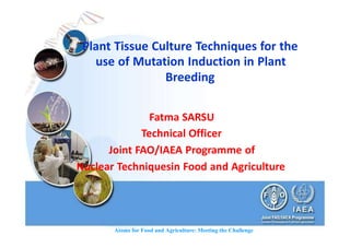 Atoms for Food and Agriculture: Meeting the Challenge
Plant Tissue Culture Techniques for the
use of Mutation Induction in Plant
Breeding
Fatma SARSU
Technical Officer
Joint FAO/IAEA Programme of
Nuclear Techniquesin Food and Agriculture
 